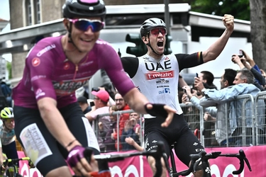 Pagelle tappa 11 Giro d’Italia 2023: Ackermann è irresistibile. Per Pedersen occasione sprecata
