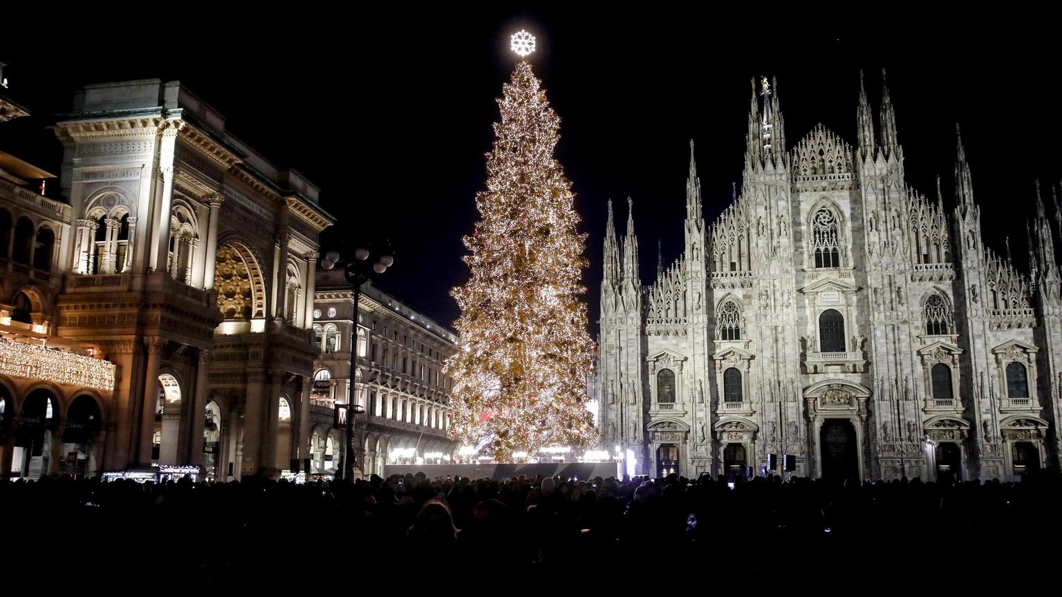 Illuminato in Duomo a Milano l'albero delle Olimpiadi 2026