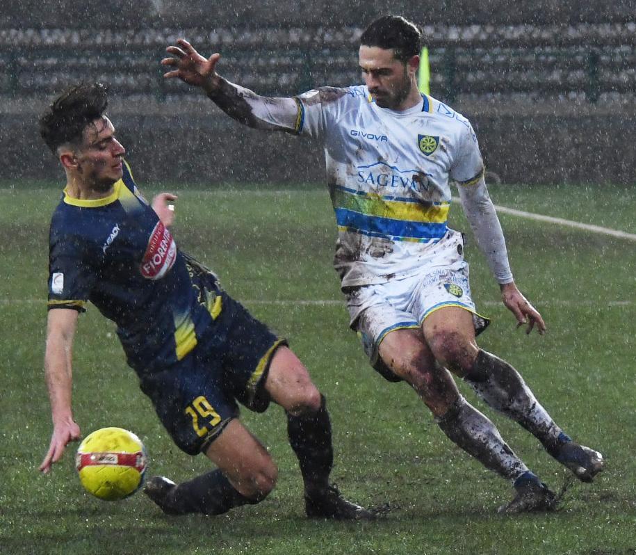 Carrarese Subito In Campo. Domani Arriva Il Pineto. Azzurri Chiamati A ...