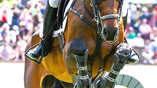 Il Toscana Tour ad Arezzo accoglie oltre 460 amazzoni e cavalieri da 31 nazioni, con 900 cavalli. Importante preparazione per i Giochi Olimpici, coinvolge anche altri eventi e competizioni internazionali.