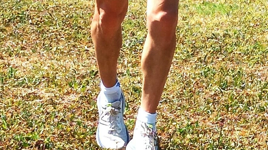 Wainer Lamberti, ex paziente di leucemia, corre la Maratona di New York per sensibilizzare sull'importanza dei trapianti di midollo osseo.