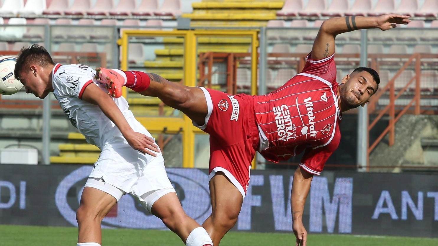 Grifo, al Curi i derby  con Ternana e Arezzo. Sfide da non perdere