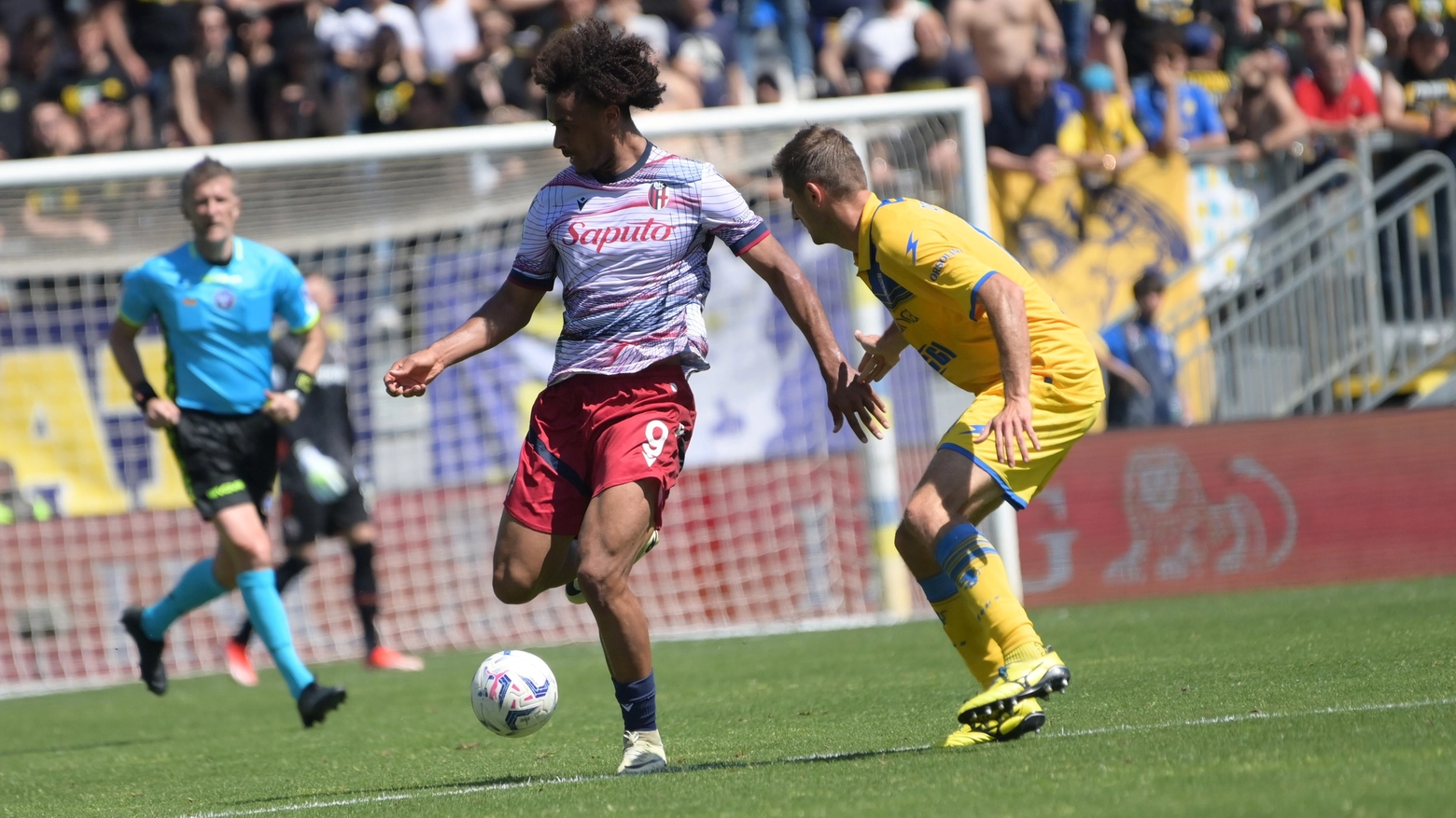 Frosinone - Bologna, un momento della partita valida per la 31esima giornata di serie A (FotoSchicchi)