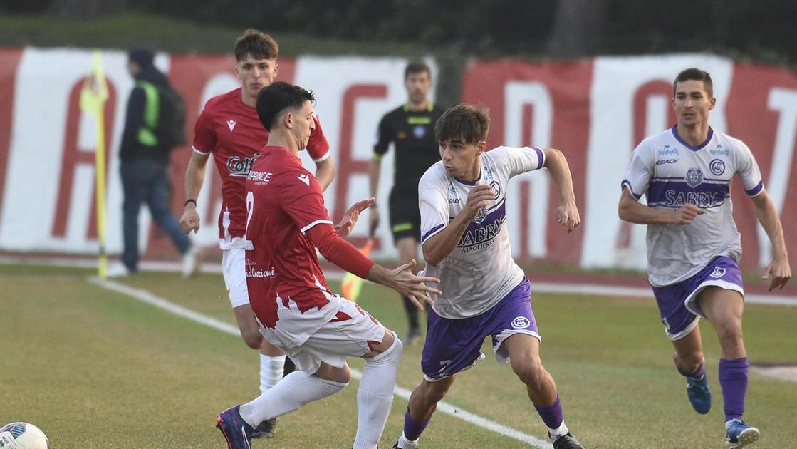 Domenica allo stadio del Conero. La Maceratese ad Ancona: "Pensiamo solo a vincere»