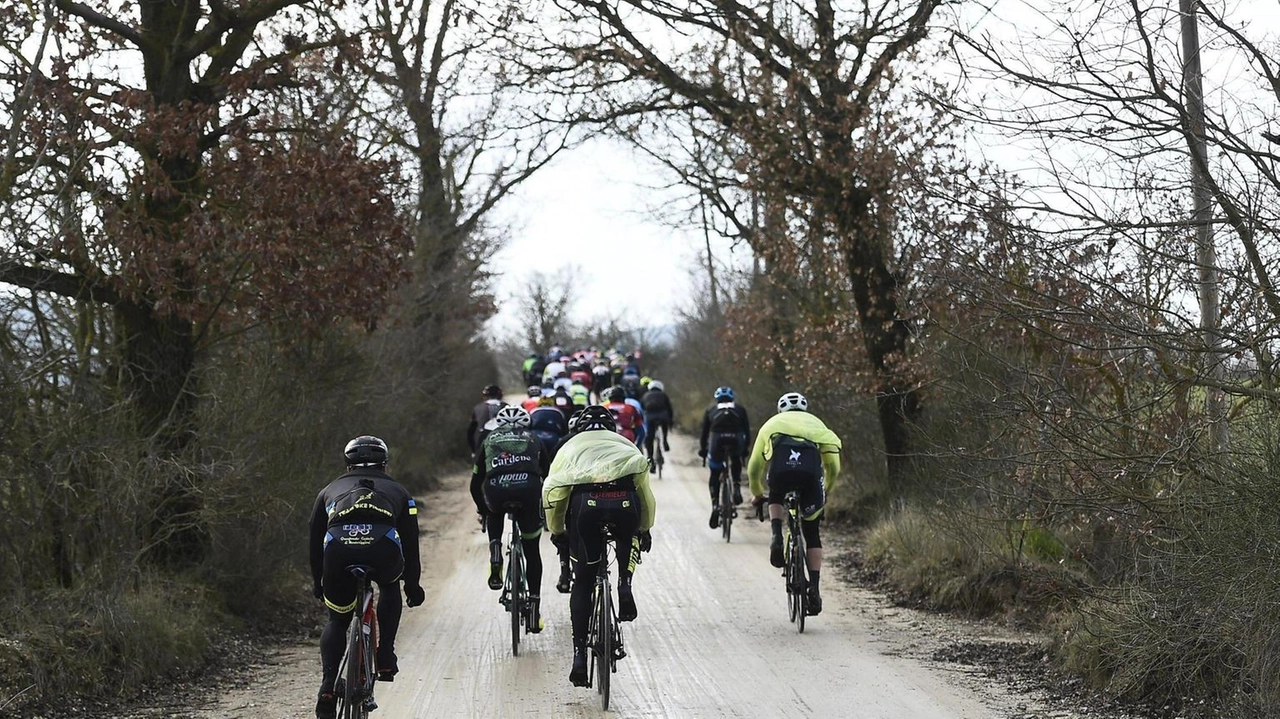 La 'classica del nord più a sud d'Europa' torna l'8 marzo a Siena con 16 tratti di sterrato nella prova maschile. La 'classica del nord più a sud d'Europa' torna l'8 marzo a Siena con 16 tratti di sterrato nella prova maschile.