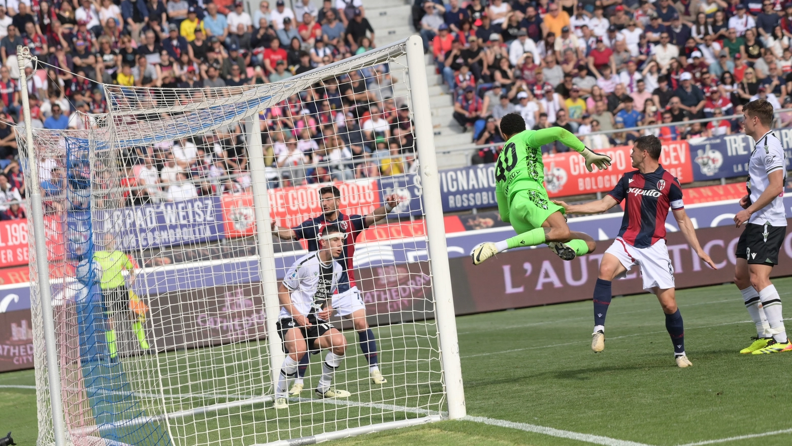 Bologna Udinese: il gol di Saelemaekers (foto Schicchi)