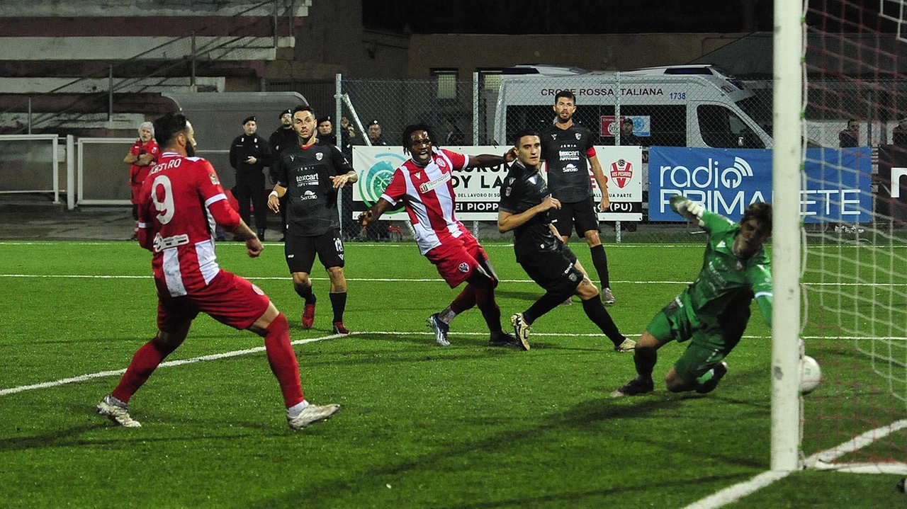 Doppio Okoro, terzo gol spettacolare, e Nicastro: i biancorossi dominano sul Carpi sfoderando la migliore prestazione finora