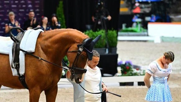 Campionato di volteggio. A Tomei il titolo regionale