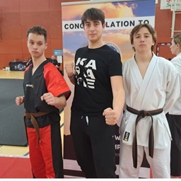 Artes marciales. Wmac, cuatro medallas de Ferrara