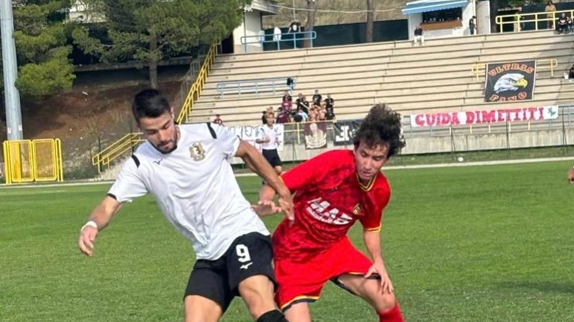 Un momento di Montegranaro-Alma Juventus Fano con Tassi in azione