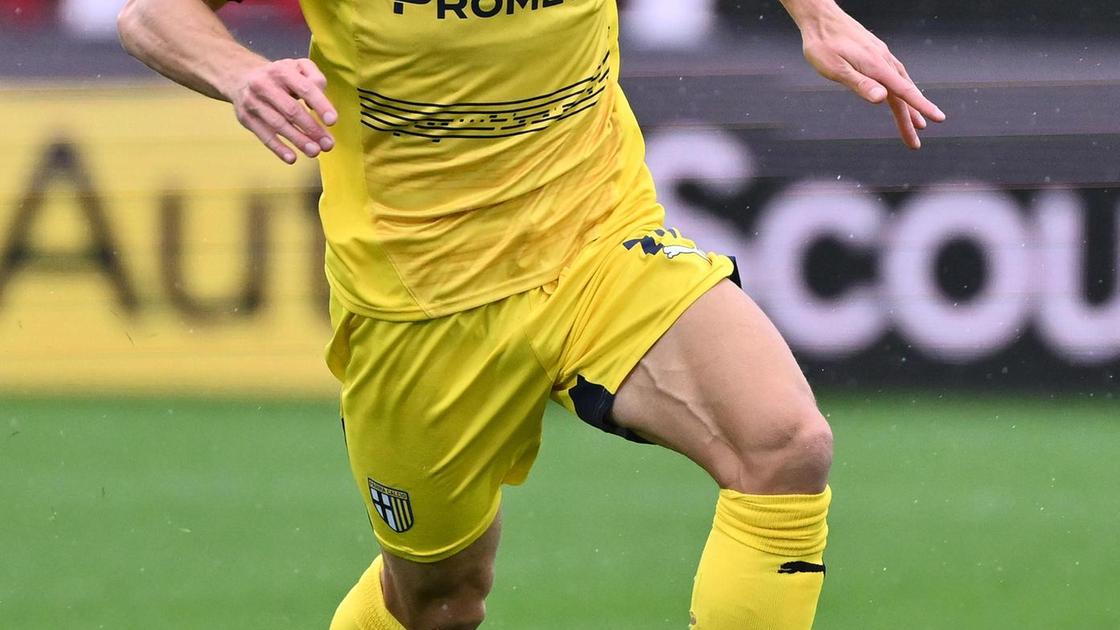 Il calciomercato. Almqvist, sprint per la fascia. Pecchia: "Lo convoco, però...»