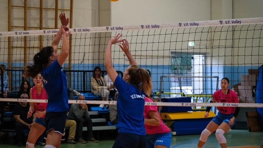 La pattuglia versiliese torna in campo tra serie B nazionale, C e D regionali. Diverse sfide in programma, con l'Unione Pallavolo Camaiore e il Vp Canniccia pronti a riscattarsi. Oasilido e Jenco in lotta per la vetta.