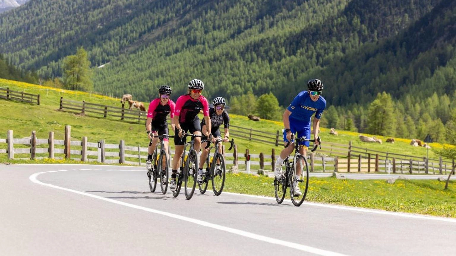 Ciclismo: Alé la Merckx a Livigno sulle strade del Giro d'Italia