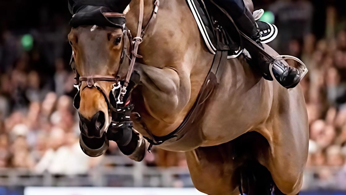 Fei World Cup. Darragh Kenny. Un irlandese fa il re a Londra