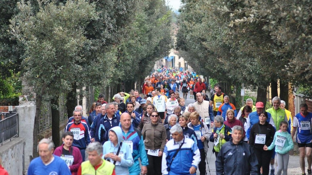 Podismo - La kermesse. Marcia delle Ville: l’attesa