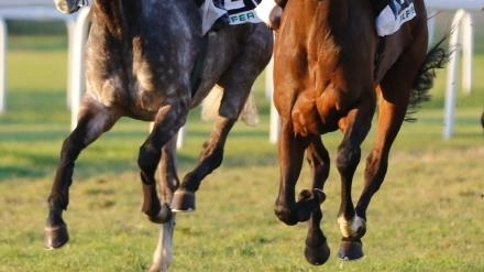 Festa a San Rossore. Torna il "Palio dei Comuni"