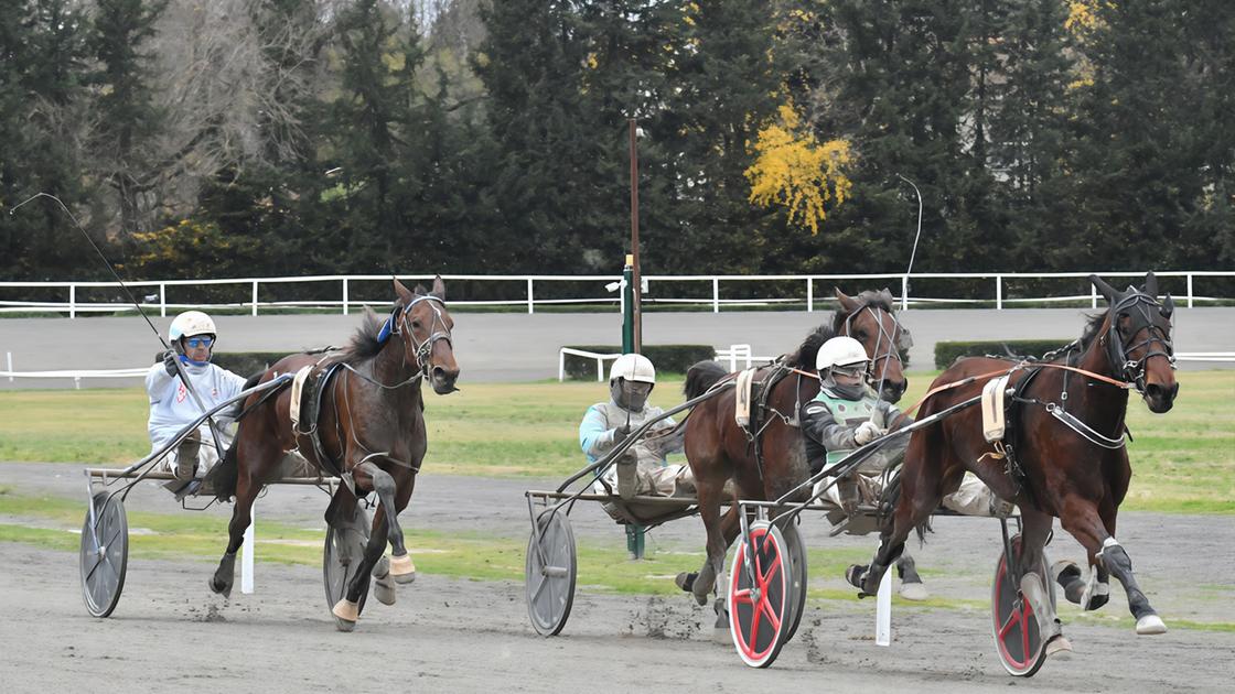 Il grande trotto a Firenze. Premio Cupolone. Trionfa Gea del Ronco