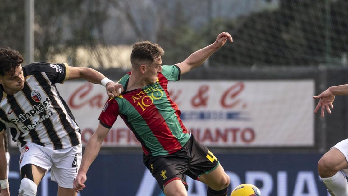 Ternana, il rebus è a centrocampo. Abate si affida ad Aloi e Vallocchia