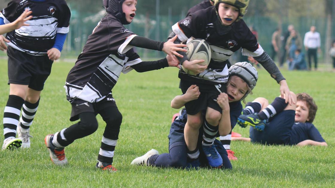 Rugby. Open day venerdì negli impianti del Cus, per i più piccoli. Poi spazio al ’terzo tempo’