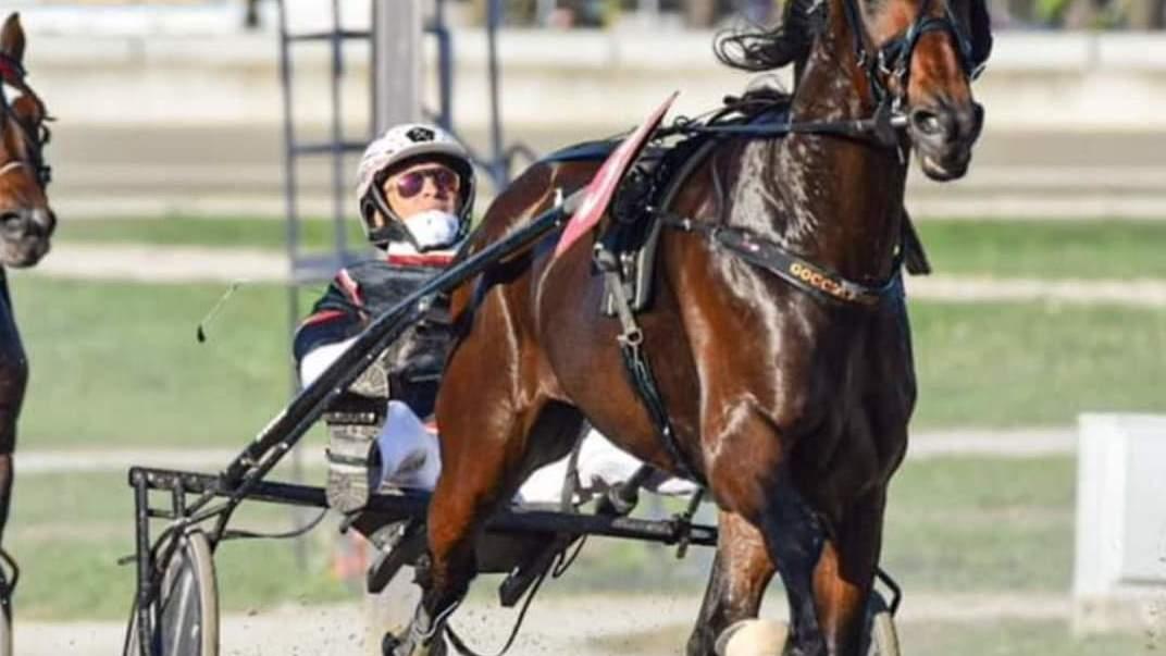 Ippica   Oggi al ’Cesare Meli’ la storica corsa arrivata a 84 edizioni. Gran Premio Firenze. Si accende la sfida