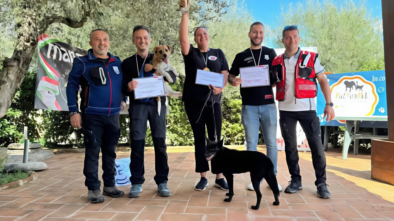 La Space Jam 2.0 ASD di Pollenza ottiene ottimi risultati alla finale nazionale di Mantrailing sportivo a Perugia. Squadra vincente e grande partecipazione da tutta Italia.