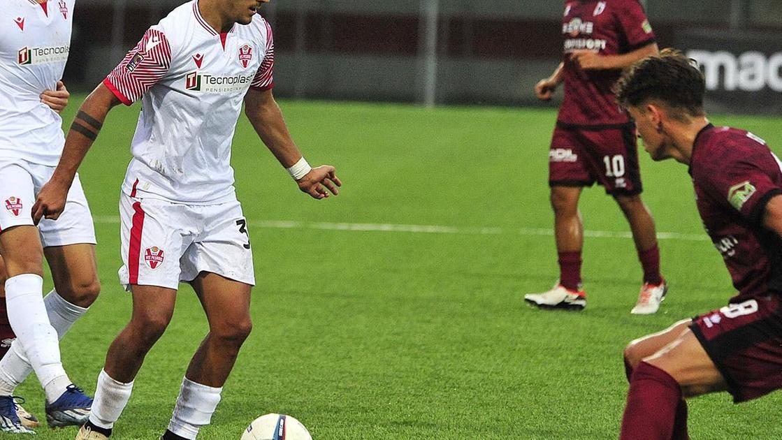 https://sport.quotidiano.net/image-service/view/acePublic/alias/contentid/ZjNiNjFlNDAtNzExZi00/0/vis-sogno-di-una-notte-di-fine-estate-con-la-ternana-ce-in-palio-la-vetta.jpeg?f=16:9&w=1200&h=630