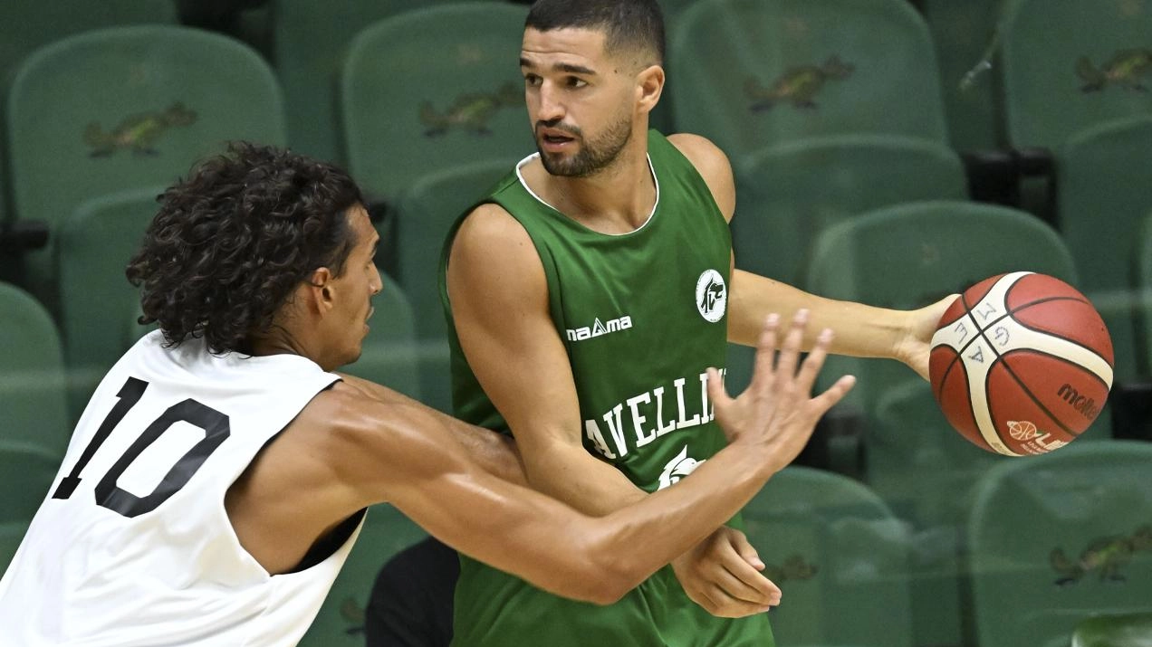 La Vuelle Pesaro cerca il riscatto contro la neopromossa Avellino Basket. Coach Crotti guida la squadra ospite, con Sabatino e Mussini in evidenza. Duello atteso alla Vitrifrigo Arena.