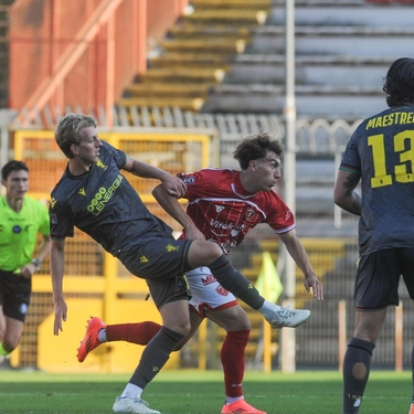 Calcio serie C. Donati carica la Ternana: "Dobbiamo fare di più»