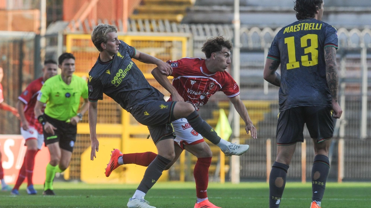 Niente gol: il derby al «Curi» è terminato in pareggio